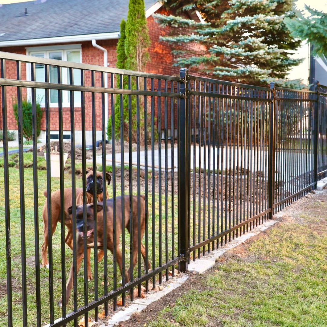 metal fence sarnia